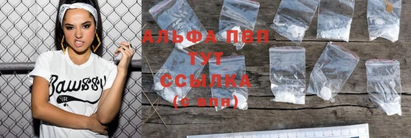 СК Осинники