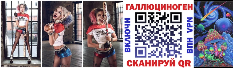 как найти   Строитель  Галлюциногенные грибы Cubensis 