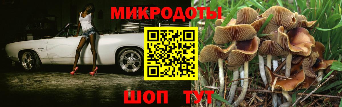 Псилоцибиновые грибы мухоморы Строитель
